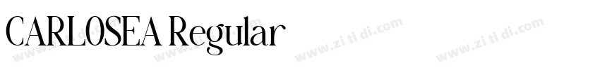 CARLOSEA Regular字体转换 CARLOSEA Regular字体转换